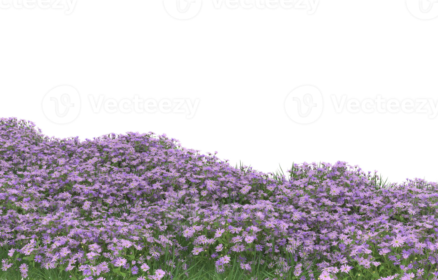 Realistic foliage isolated on transparent background. 3d rendering - illustration png