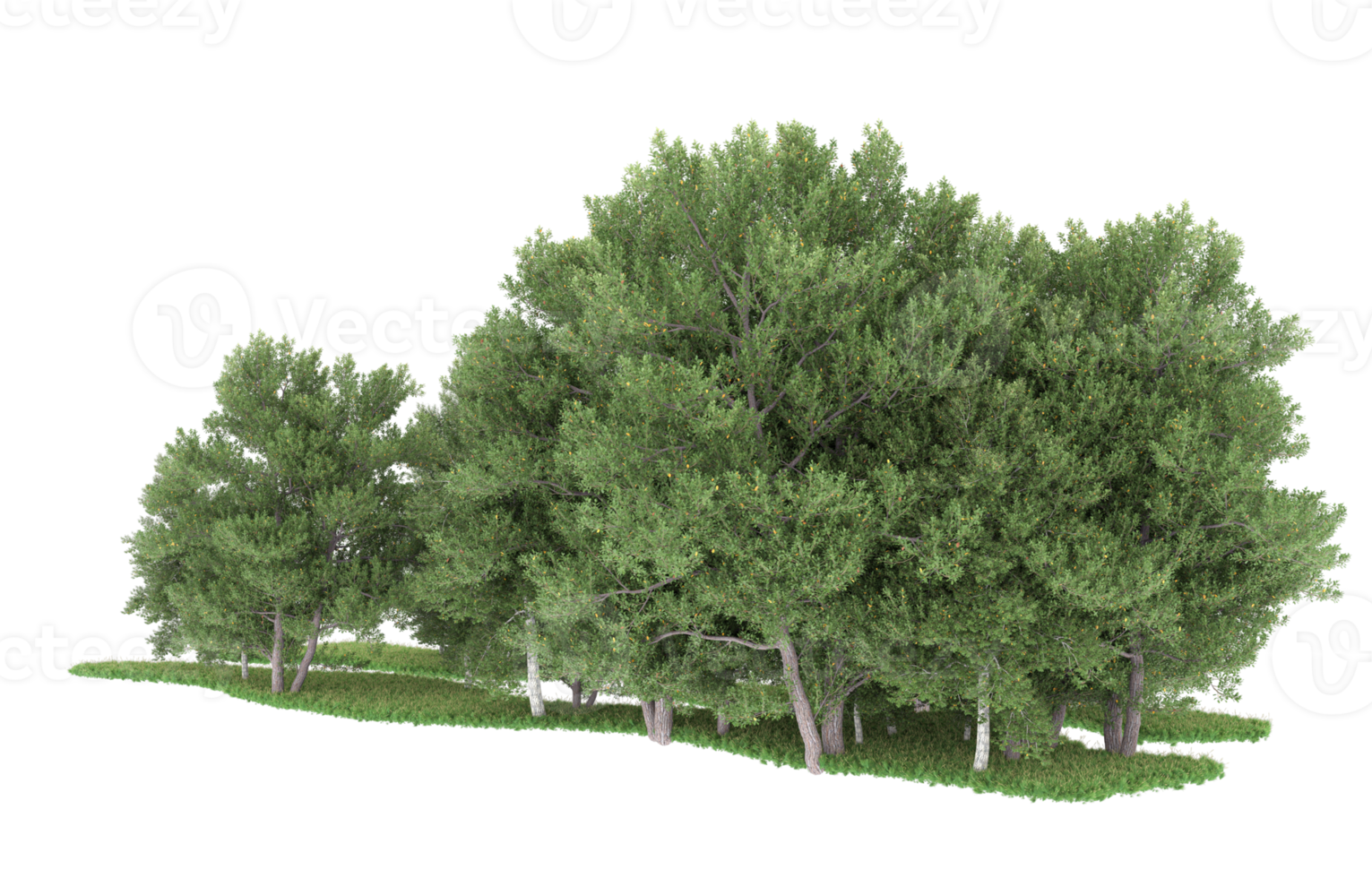 Realistic foliage isolated on transparent background. 3d rendering - illustration png