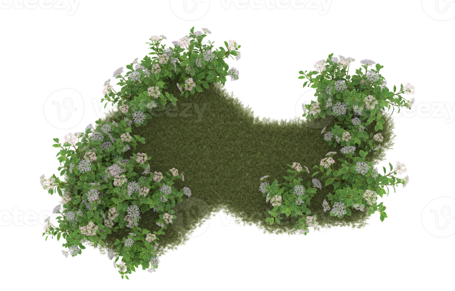 Realistic foliage isolated on transparent background. 3d rendering - illustration png
