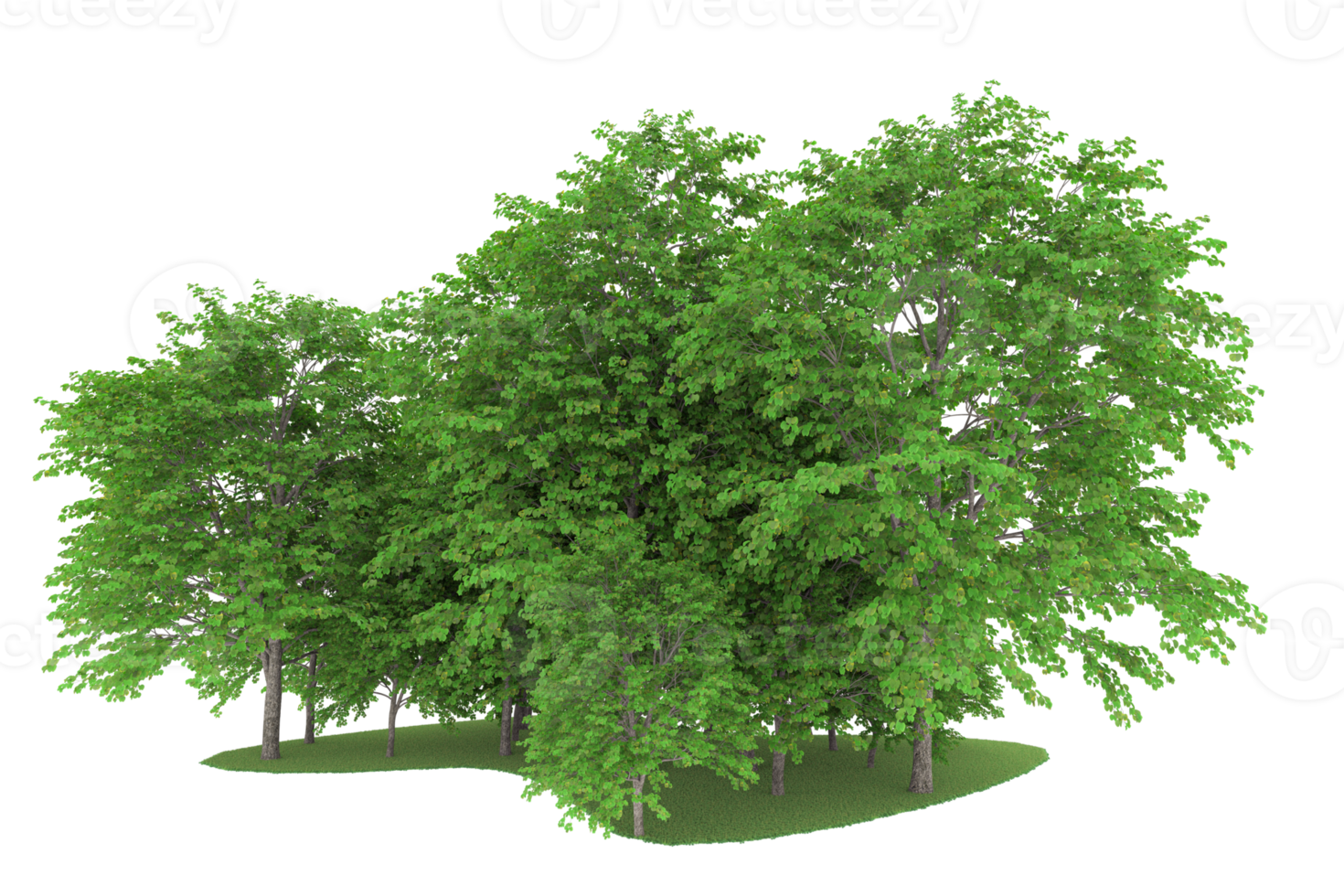 Realistic forest isolated on transparent background. 3d rendering - illustration png