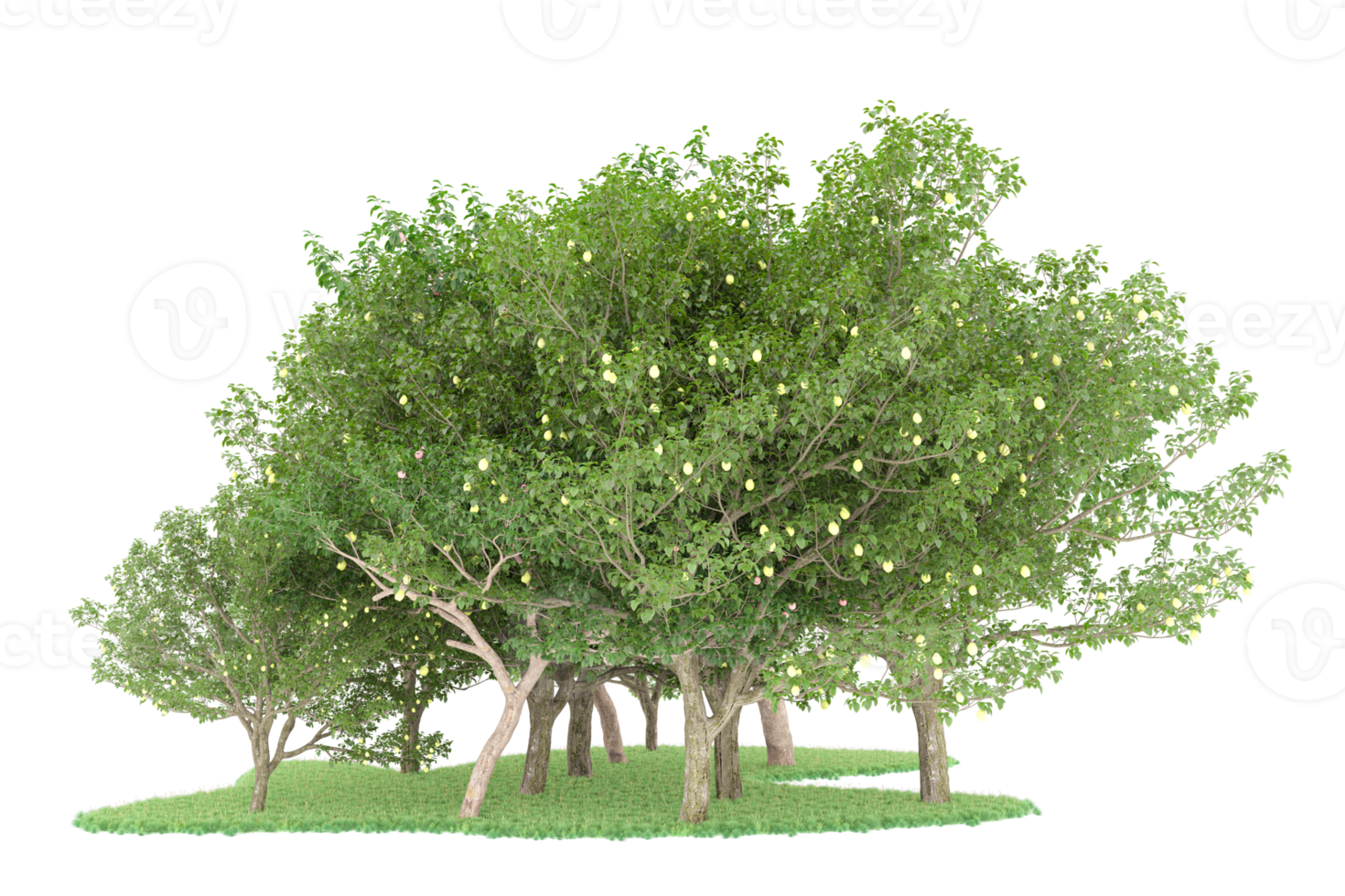 Realistic forest isolated on transparent background. 3d rendering - illustration png