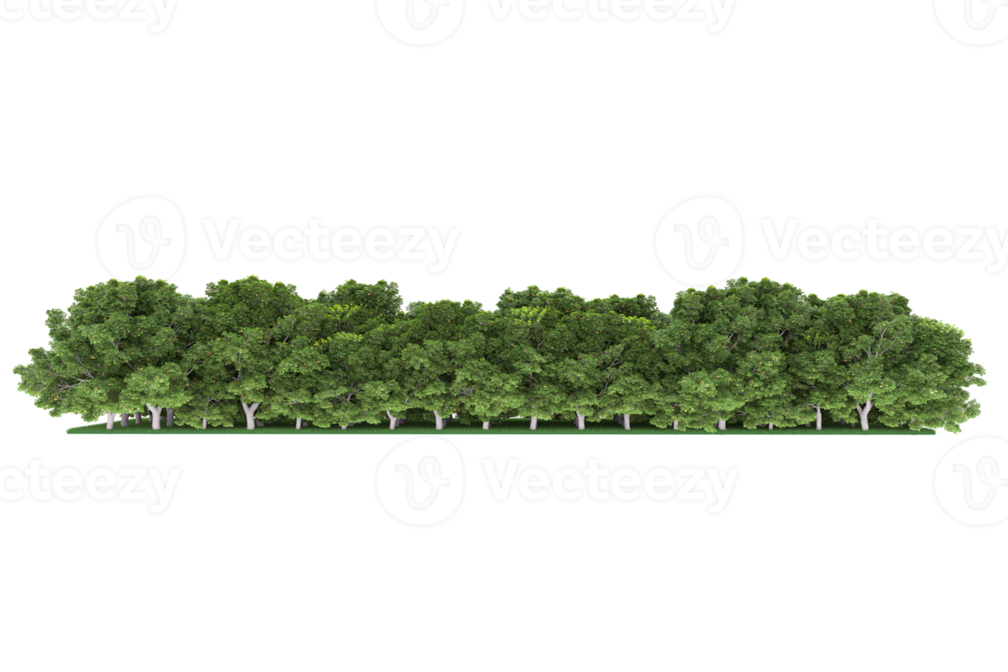 realistico foresta isolato su trasparente sfondo. 3d interpretazione - illustrazione png