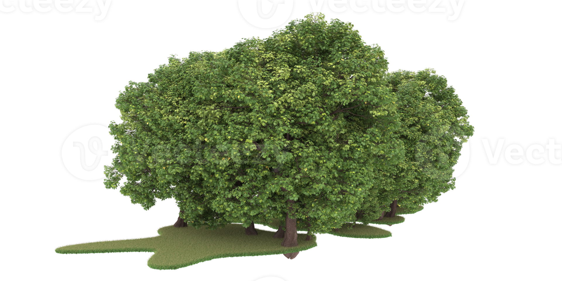 Realistic forest isolated on transparent background. 3d rendering - illustration png