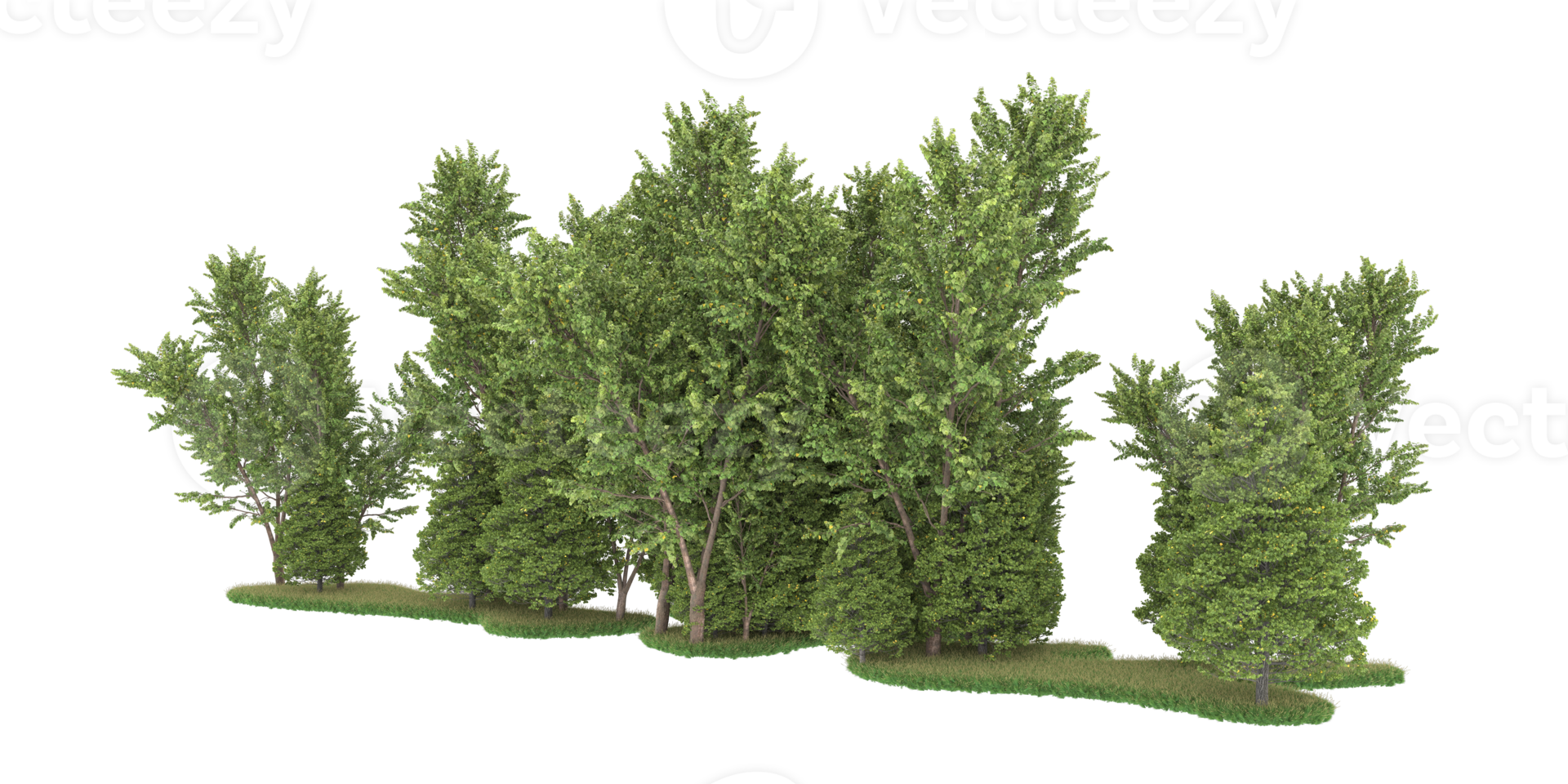 Realistic forest isolated on transparent background. 3d rendering - illustration png