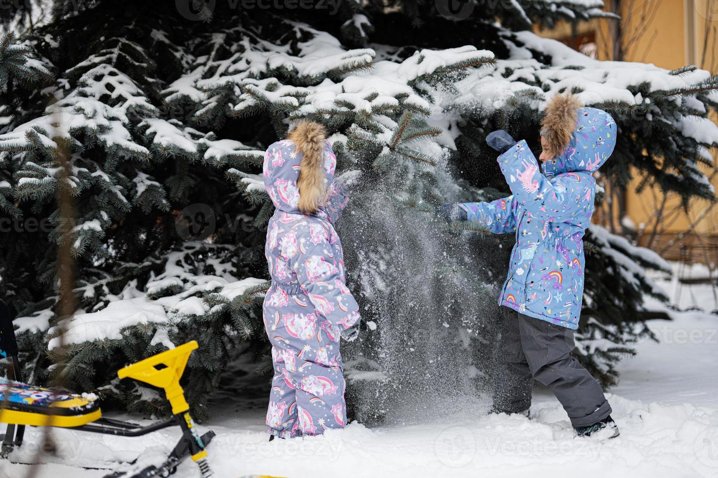 Children play outdoors in snow. Two little sisters near Christmas tree in winter. photo