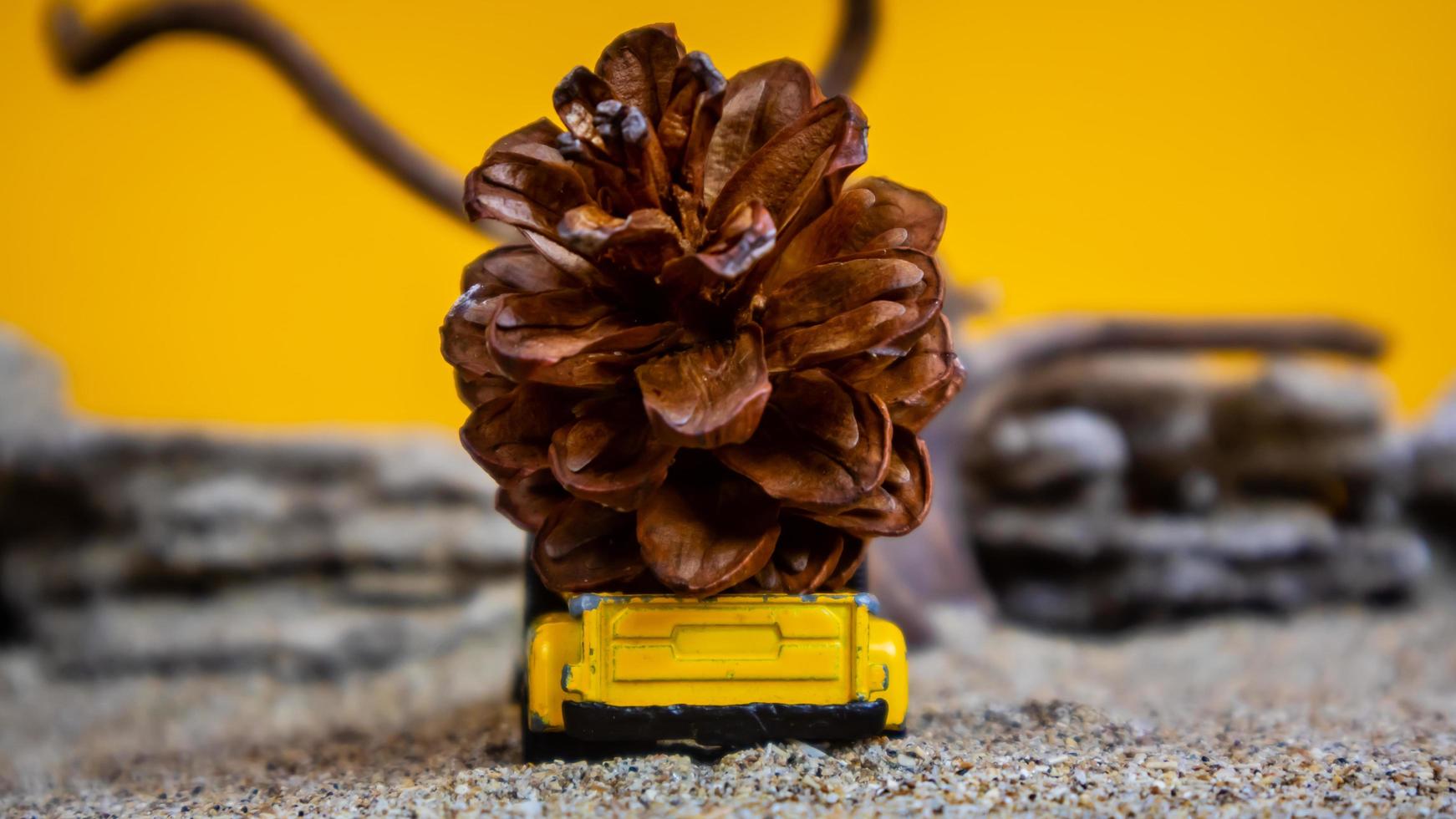 toy car hauling pinecones on an orange background photo