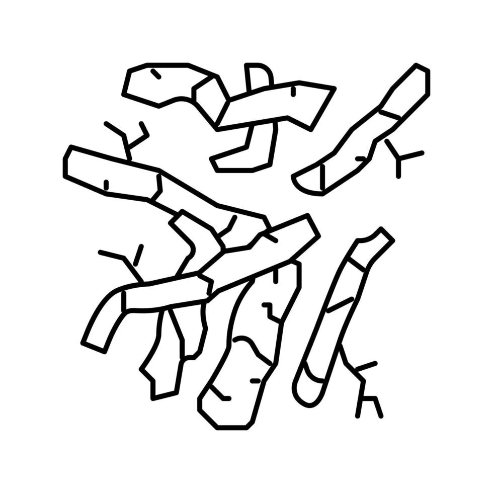 raíz planta línea icono vector ilustración