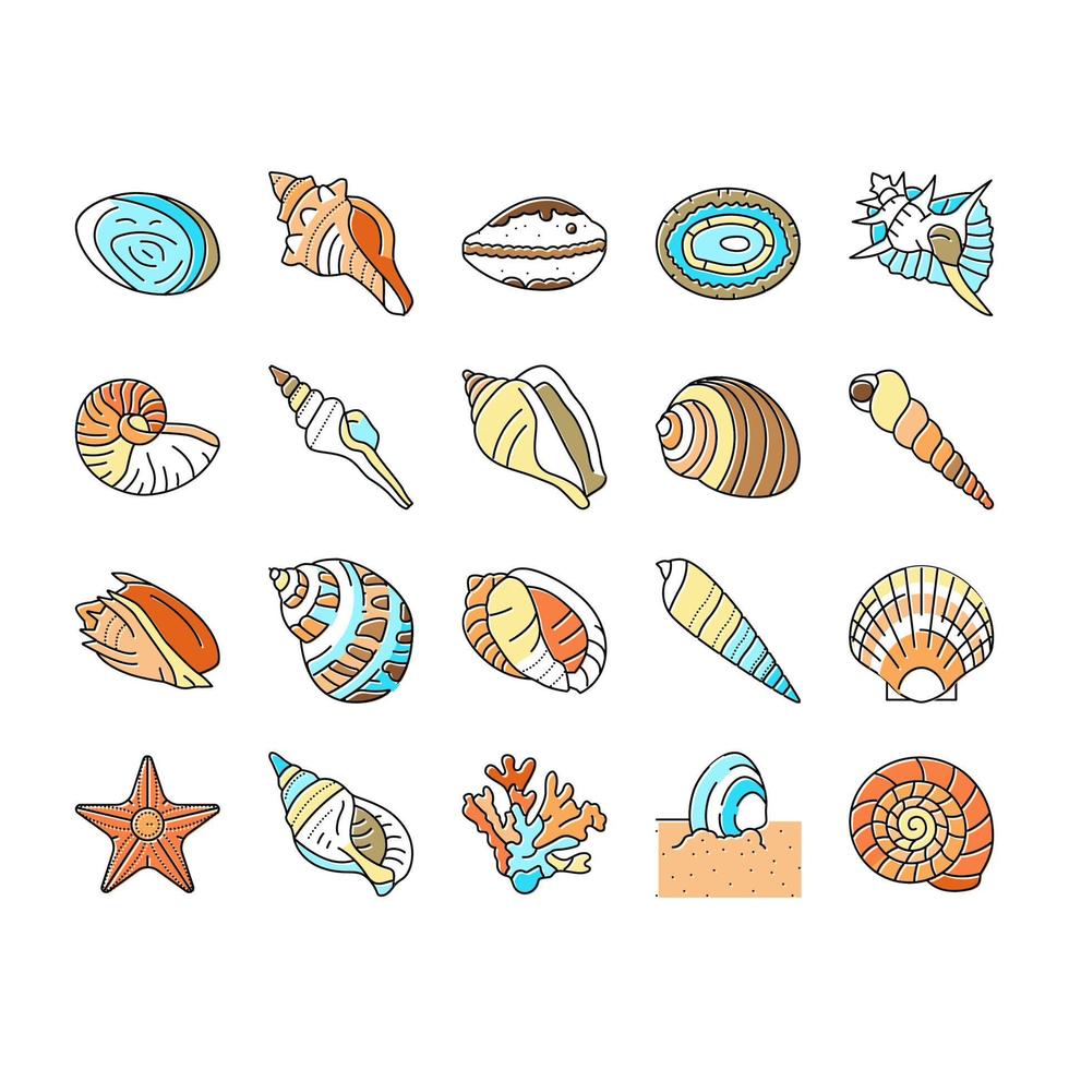 conjunto de iconos de océano de verano de playa de concha de mar vector