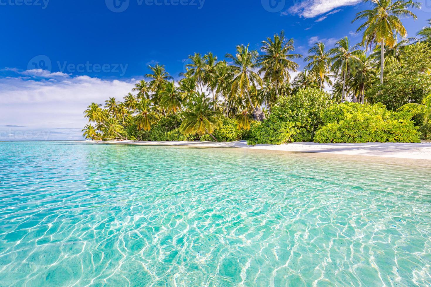 Tranquil beach nature palm trees shore tropical idyllic paradise island. Exotic landscape for dreamy and inspirational summer for background or wallpaper photo