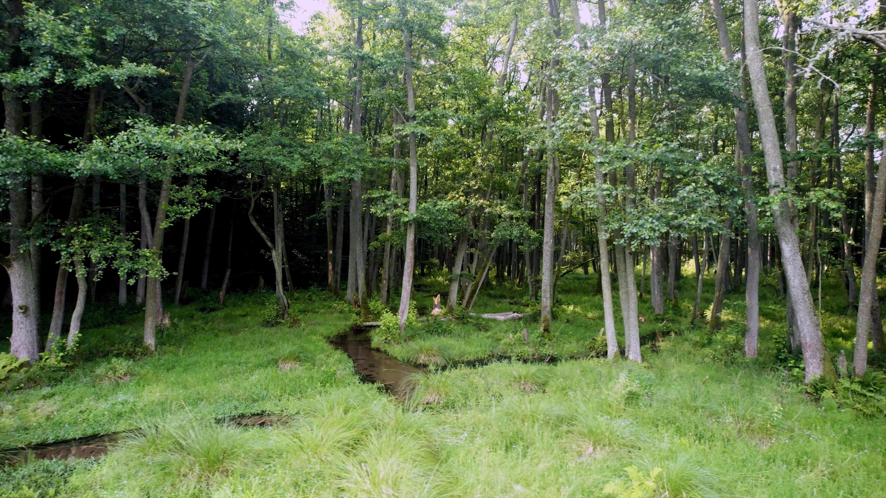 The Roanoke Revelation: Forget The Usual Tourist Spots - wkfq9mz