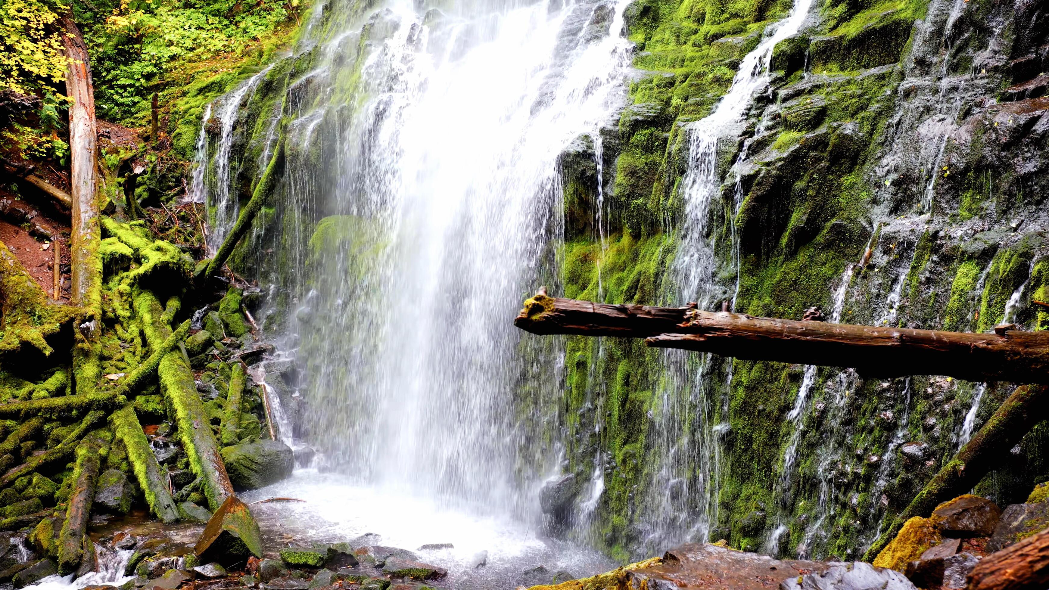The Roanoke Revelation: Forget The Usual Tourist Spots - bcla4j1