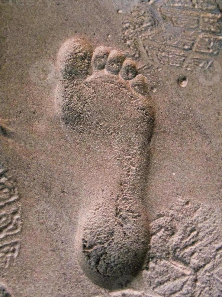 bare footprint in the wet sand photo