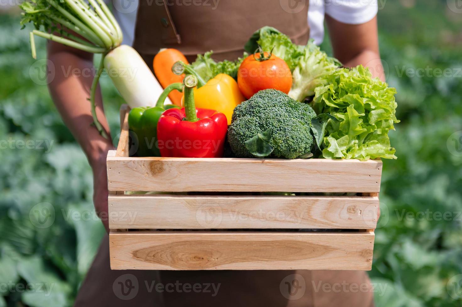 Asian man harvesting fresh vegetable from farm. leisure time togetherness concept. photo