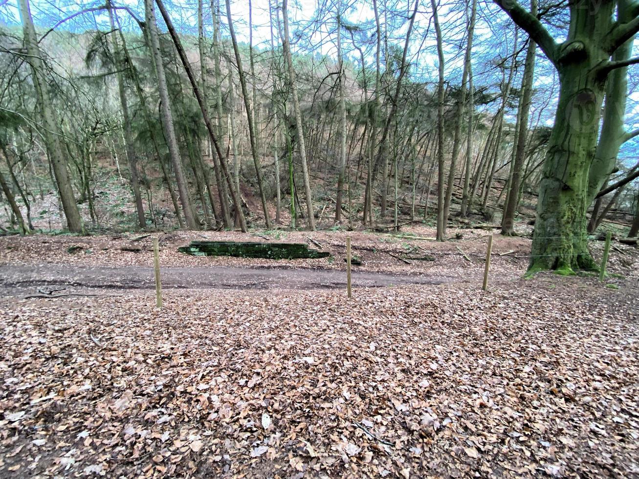 una vista de la campiña de cheshire en peckforton foto