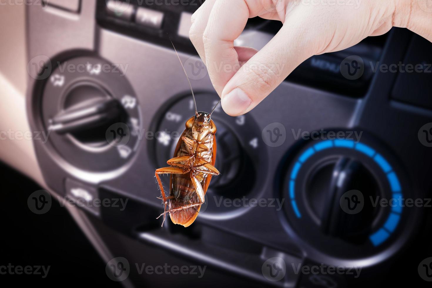 Hand holding cockroach in a car background, eliminate cockroach in car, Cockroaches as carriers of disease photo