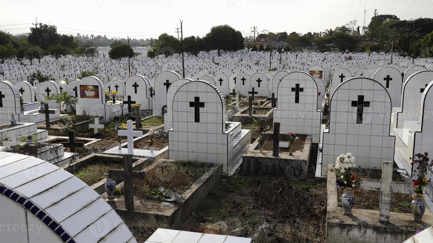 el cementerio público contiene tumbas idénticas de cerámica blanca con flores. foto