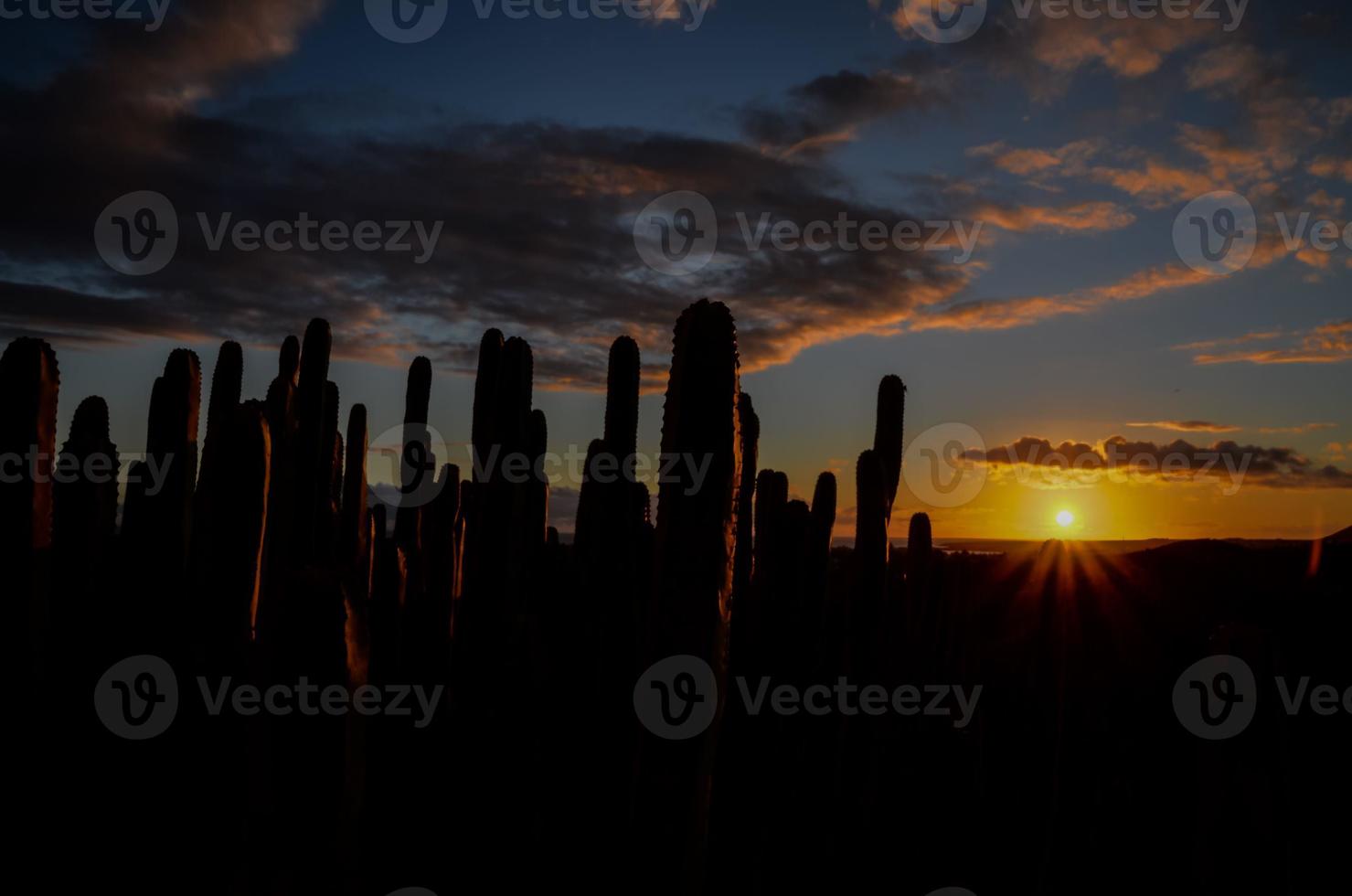 puesta de sol sobre el desierto foto