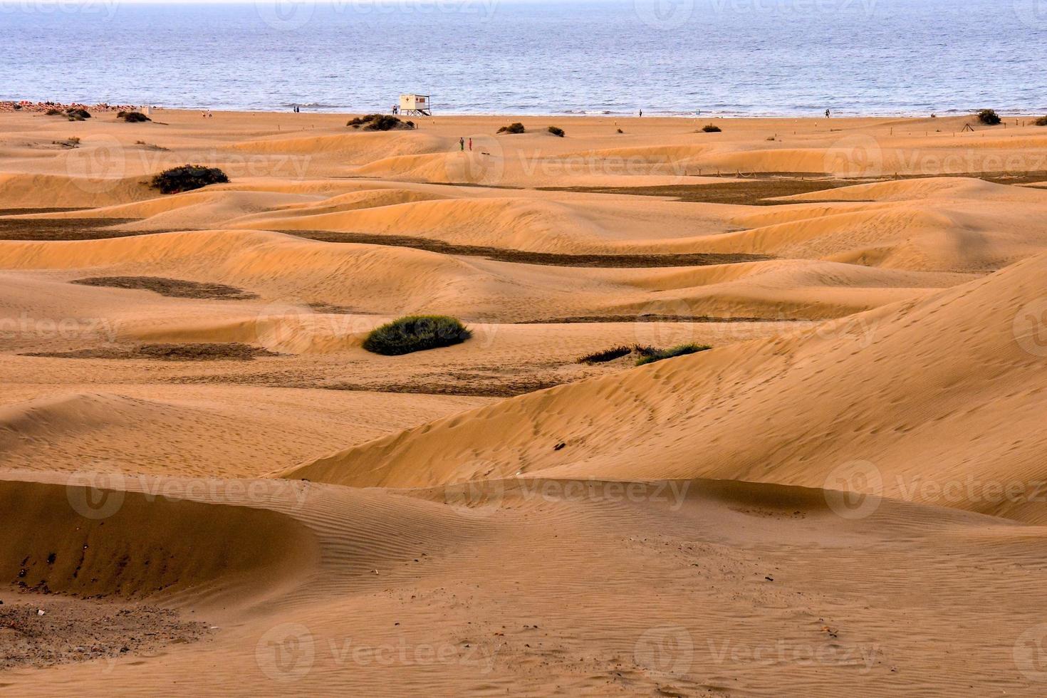 Sand dunes by the sea photo