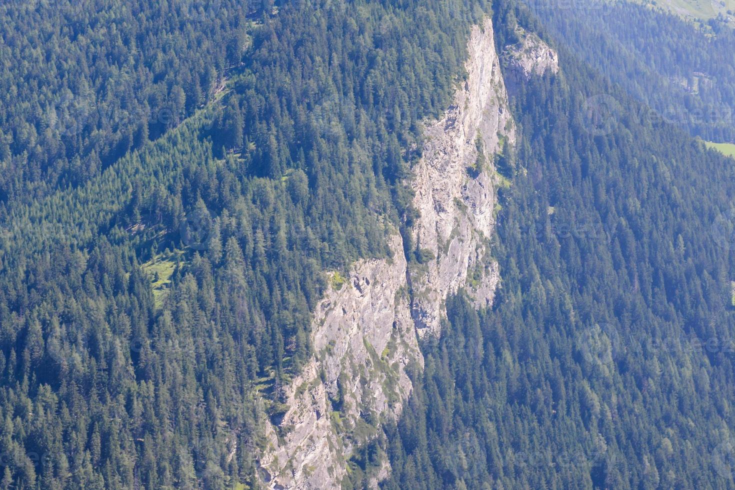 Forest on the mountain photo