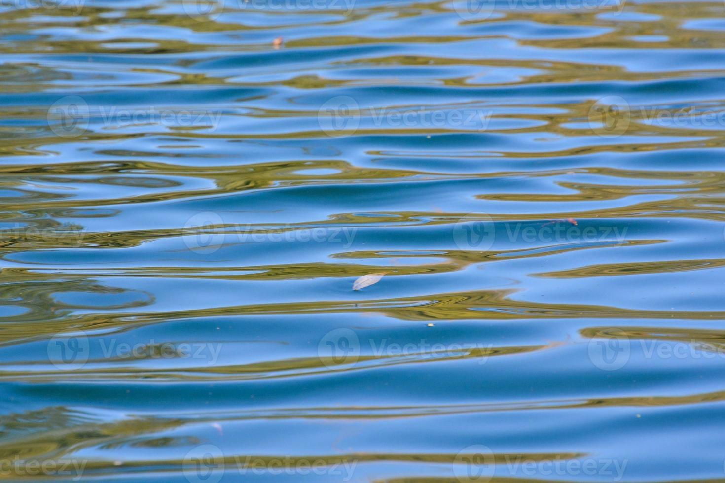 Sea water close-up photo