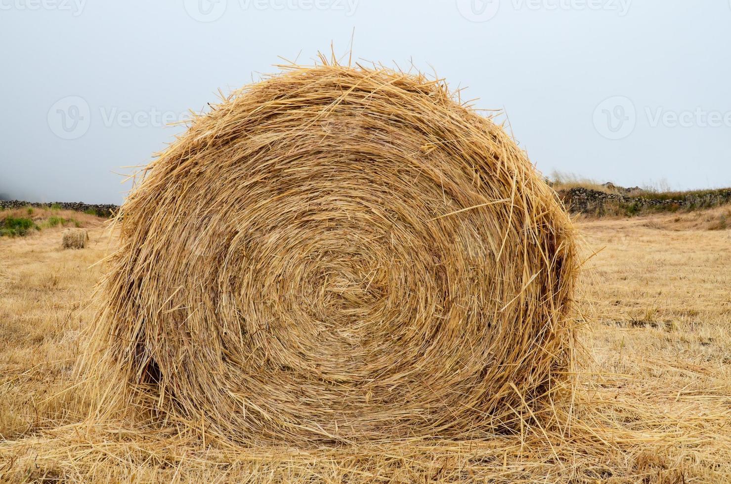 Hay stack in summer photo