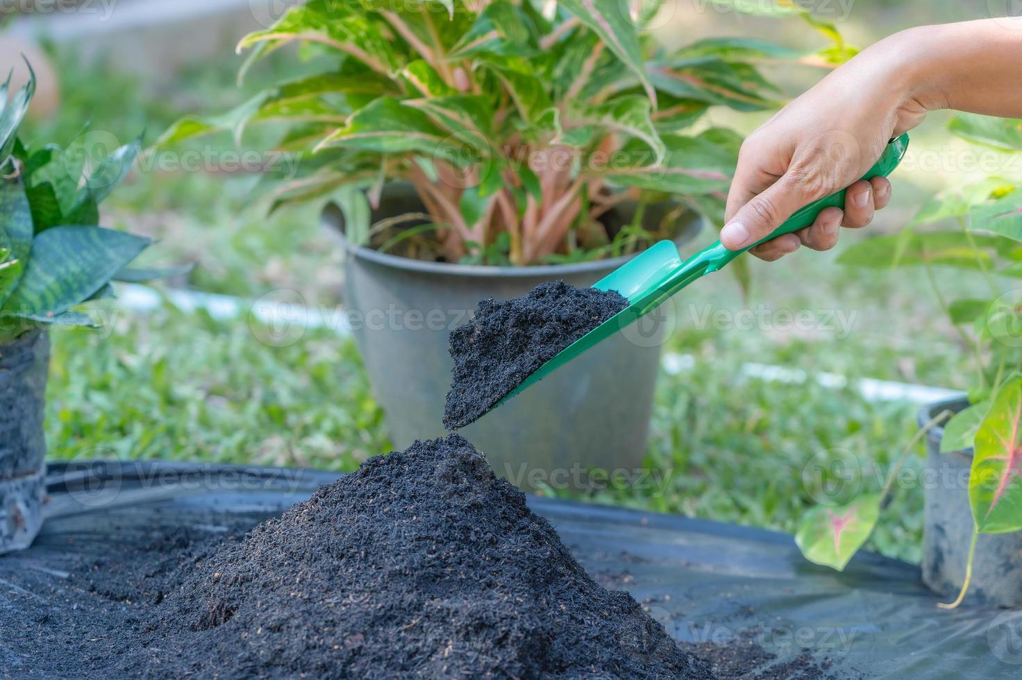 Preparation of soil mixture from fertile compost, humus and vermiculite on  black garbage bag floor in garden. Mixing the soil components for the  preparation of the substrate for transplanting plants. Stock Photo