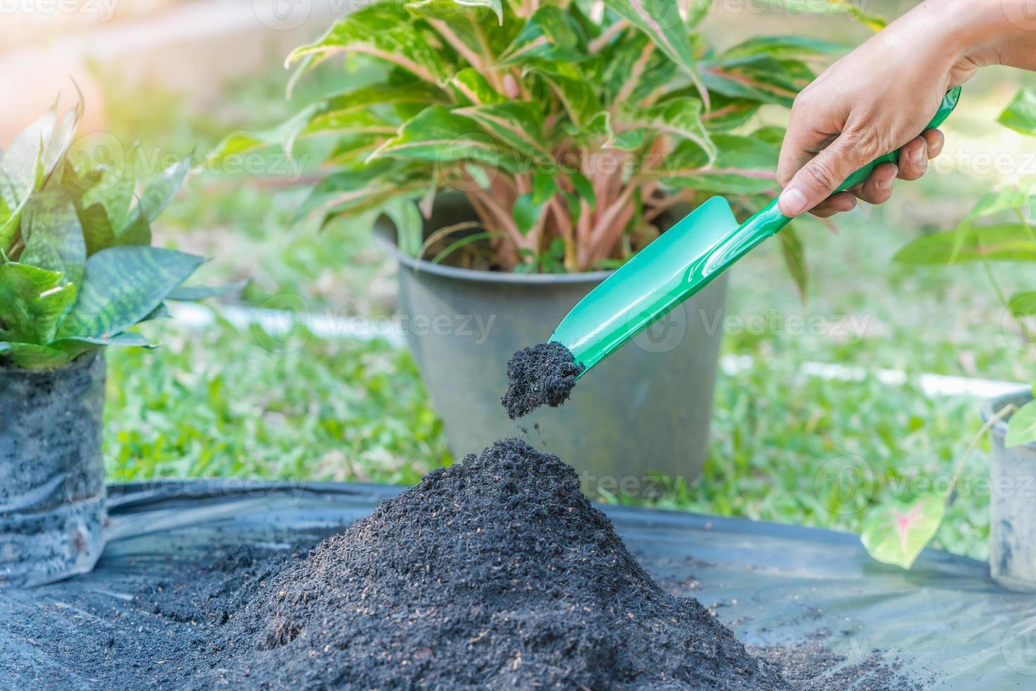 Preparation of soil mixture from fertile compost, humus and vermiculite on  black garbage bag floor in garden. Mixing the soil components for the preparation of the substrate for transplanting plants. photo