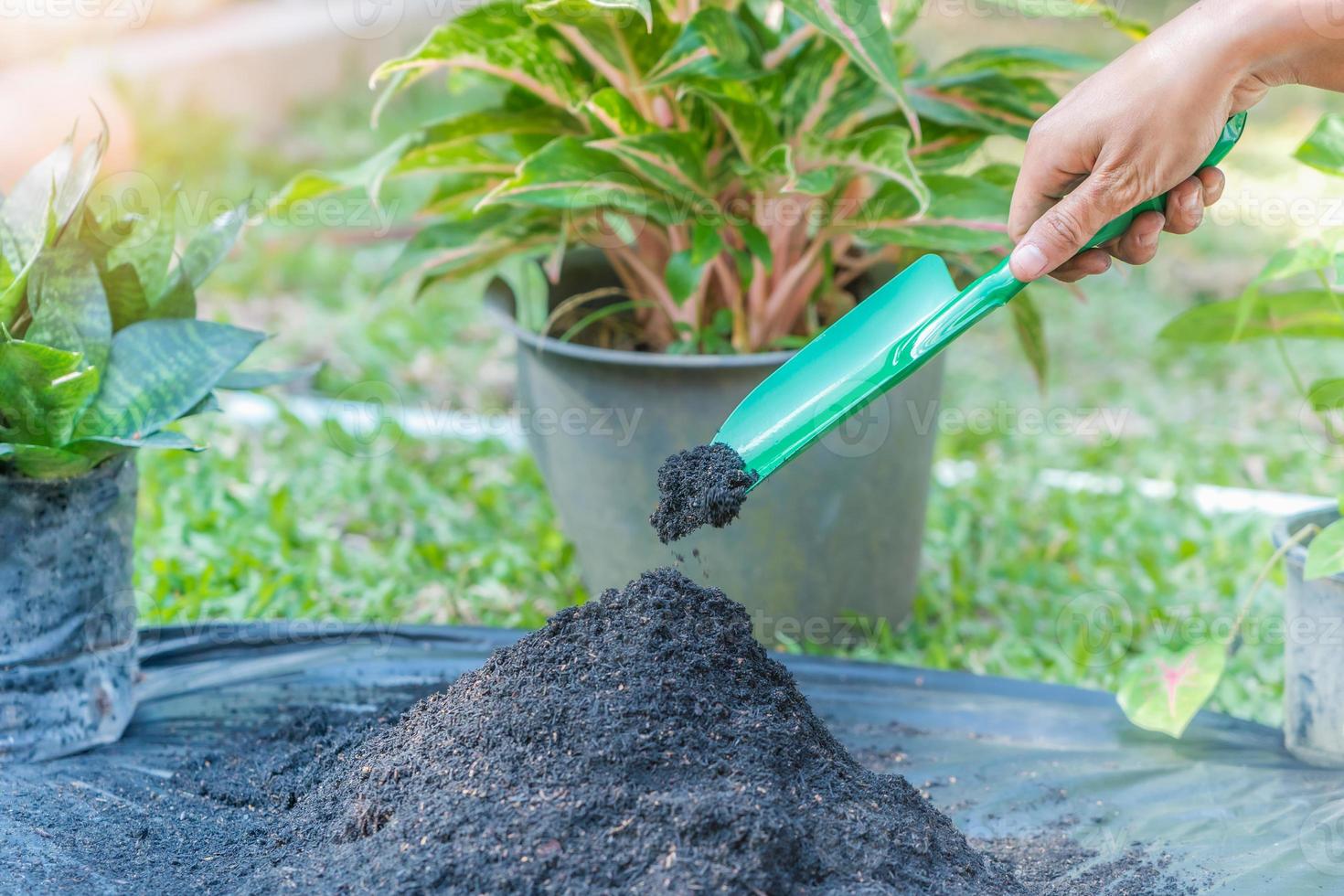 Preparation of soil mixture from fertile compost, humus and vermiculite on  black garbage bag floor in garden. Mixing the soil components for the  preparation of the substrate for transplanting plants. 19564163 Stock