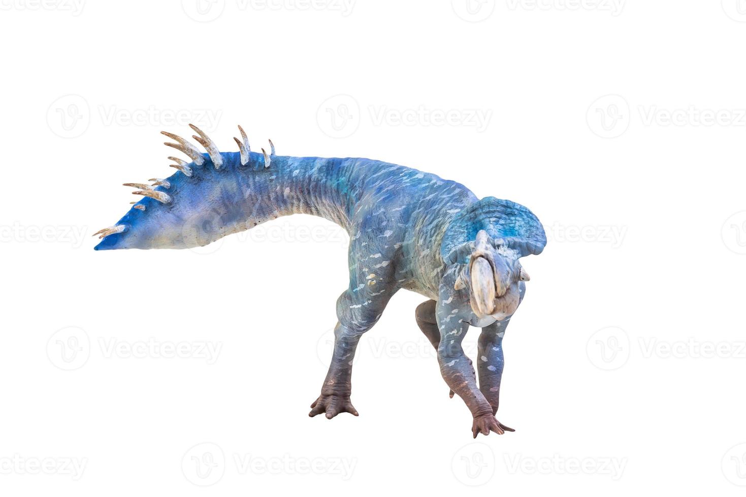 Protoceratops  , dinosaur on  isolated background photo