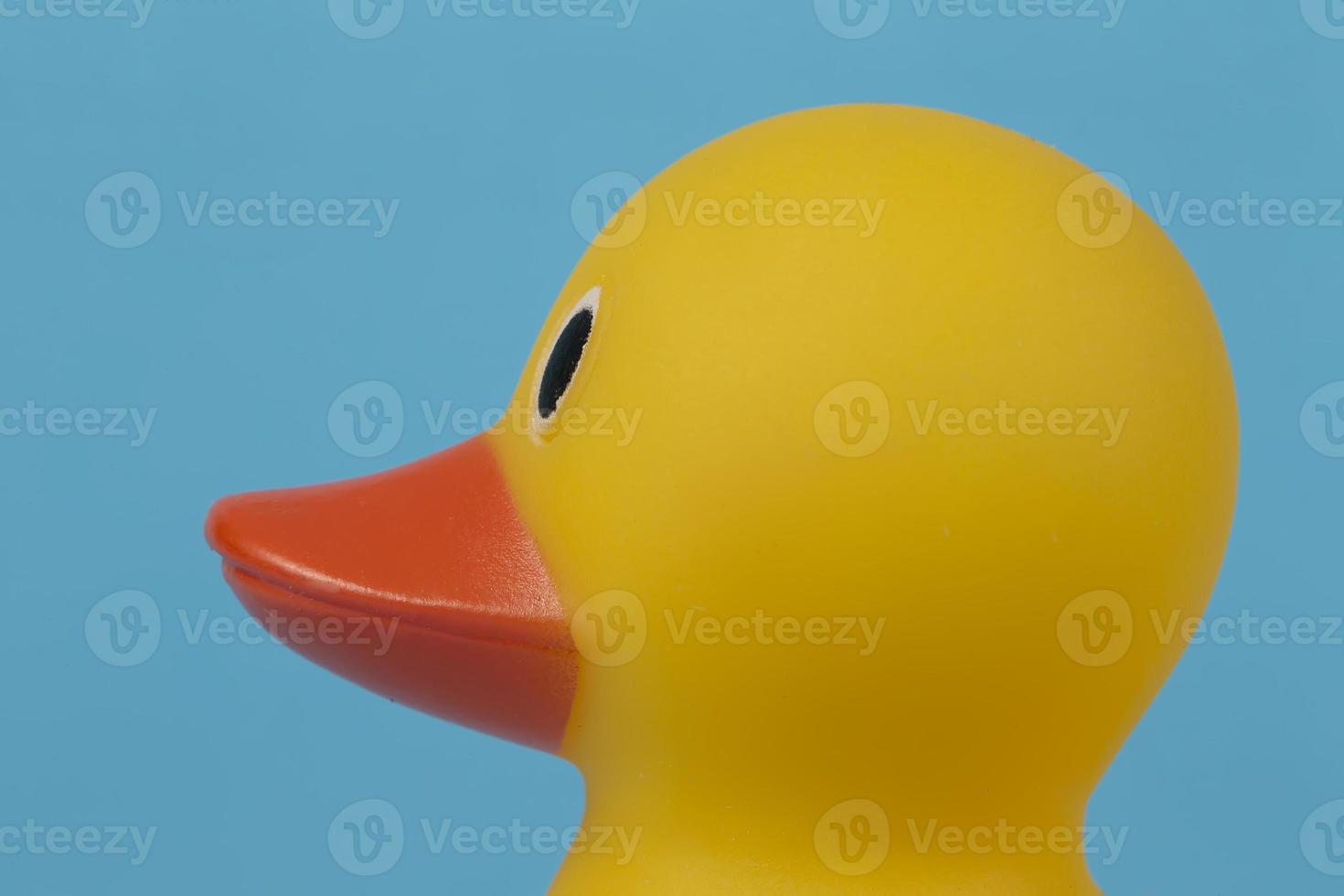 bozal de un pato de goma amarillo de perfil sobre un fondo azul. foto