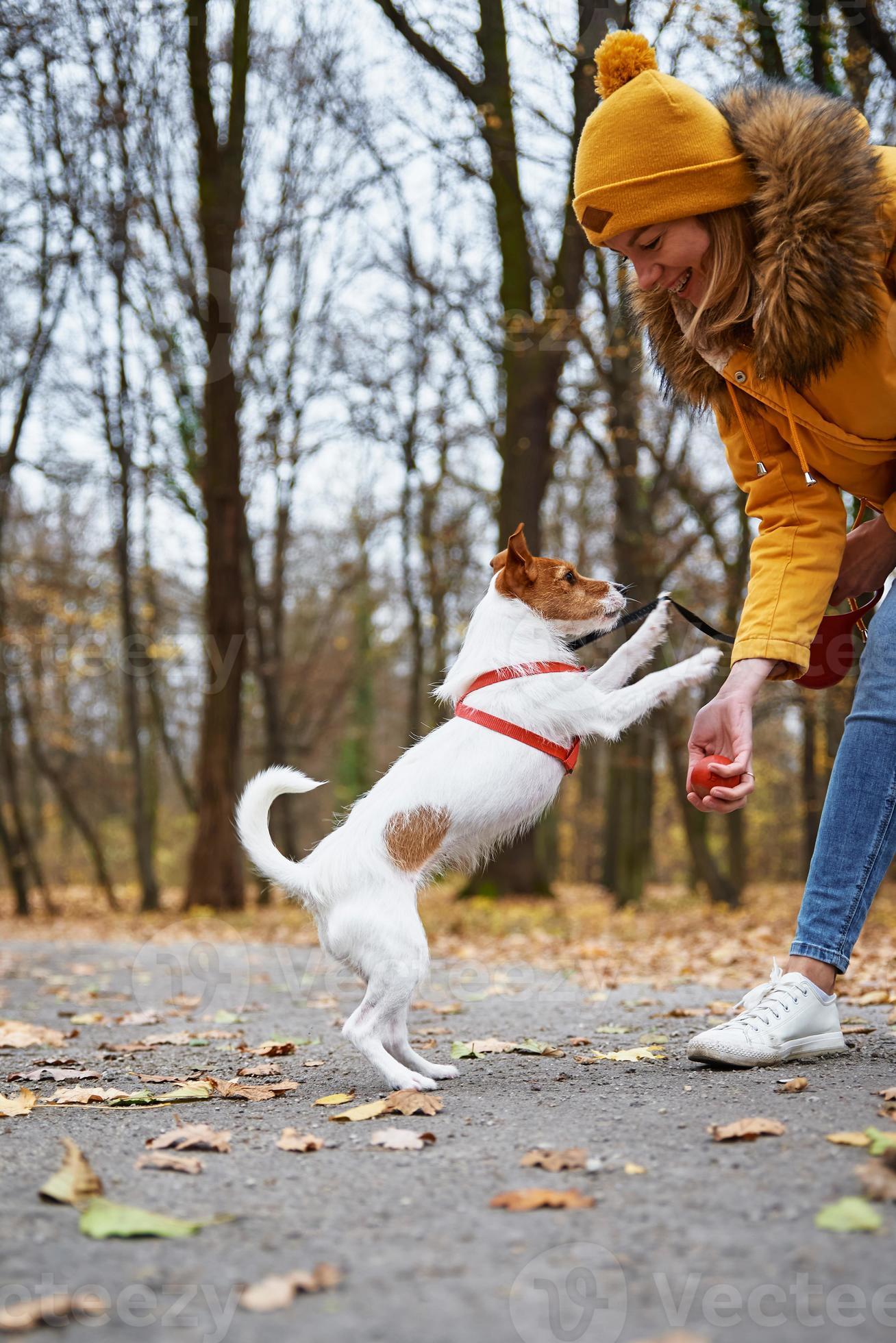 Woman with dog walk in autumn park 19565271 Stock Photo at Vecteezy