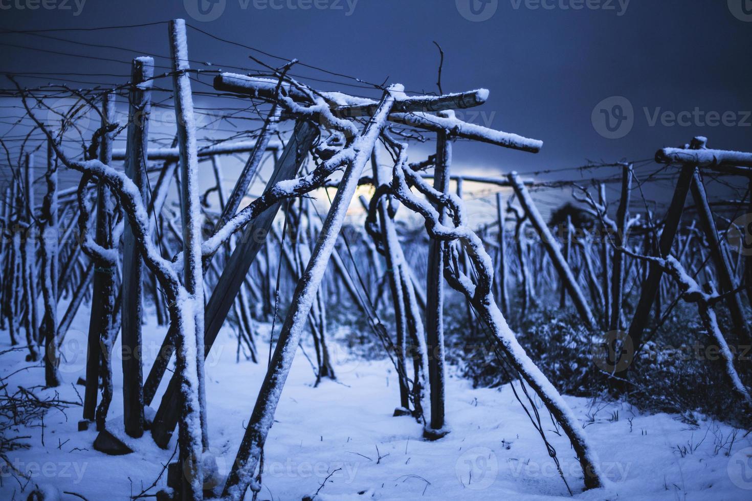 nieve en el campo foto