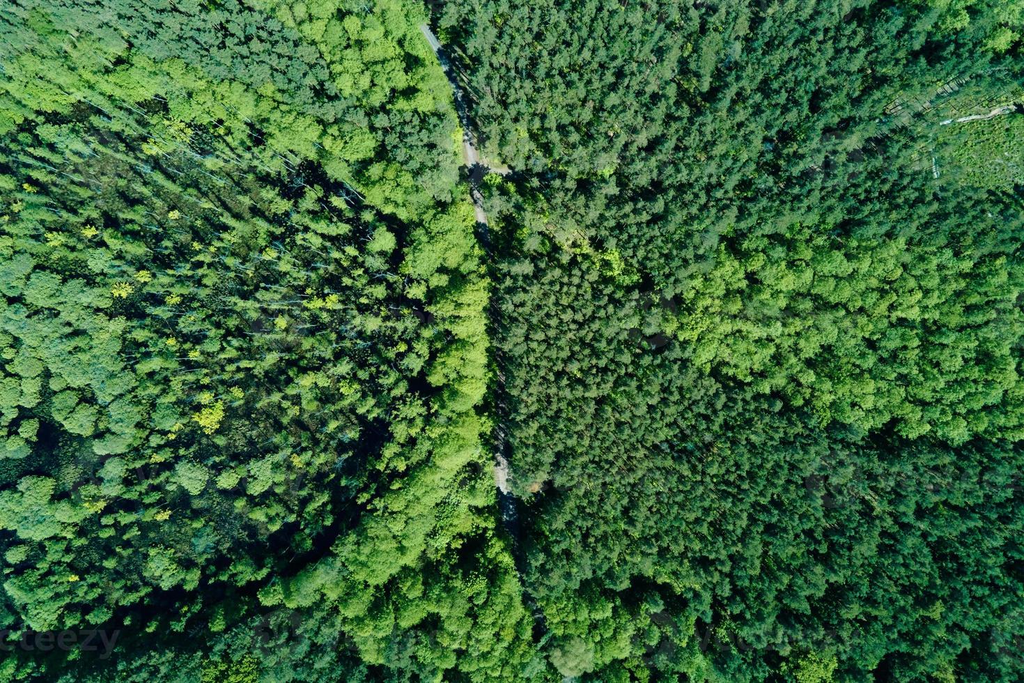 fondo verde del bosque de verano, vista aérea. paisaje natural foto