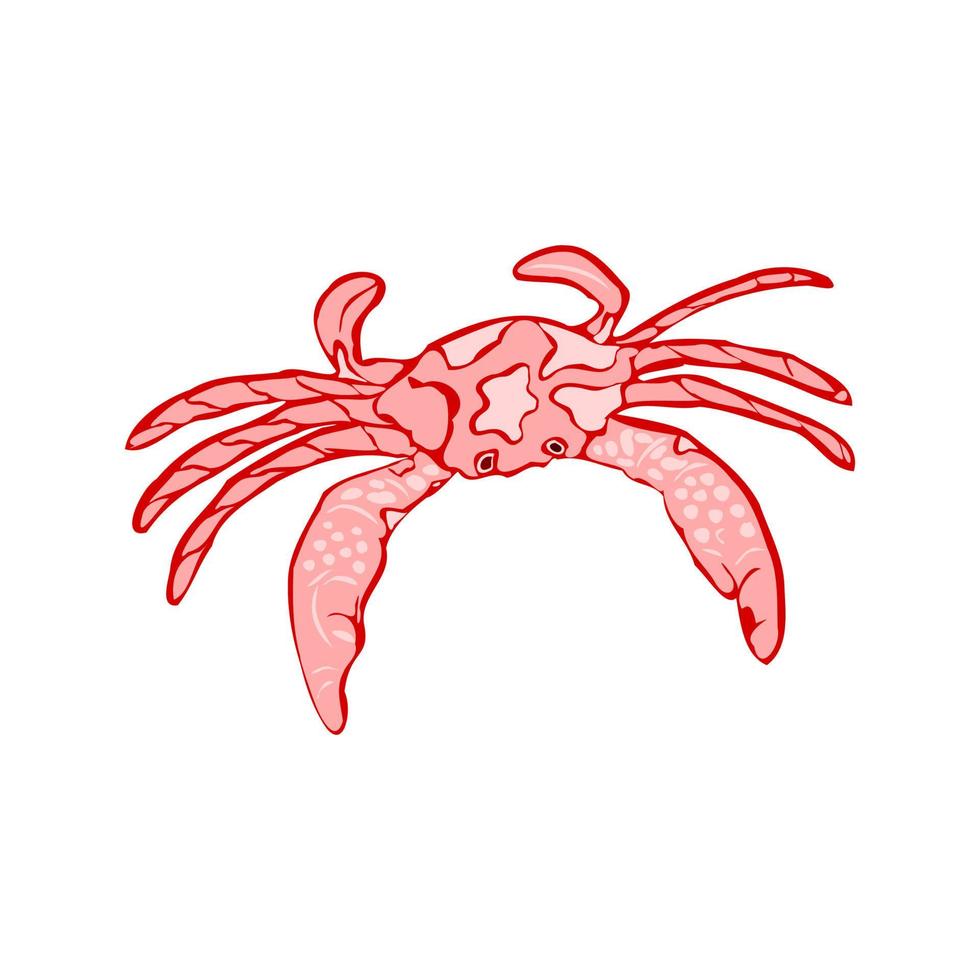 Small Lobster vector on the white background