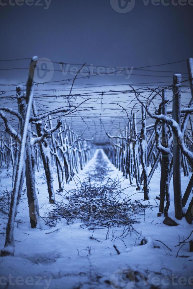 snow in the countryside photo