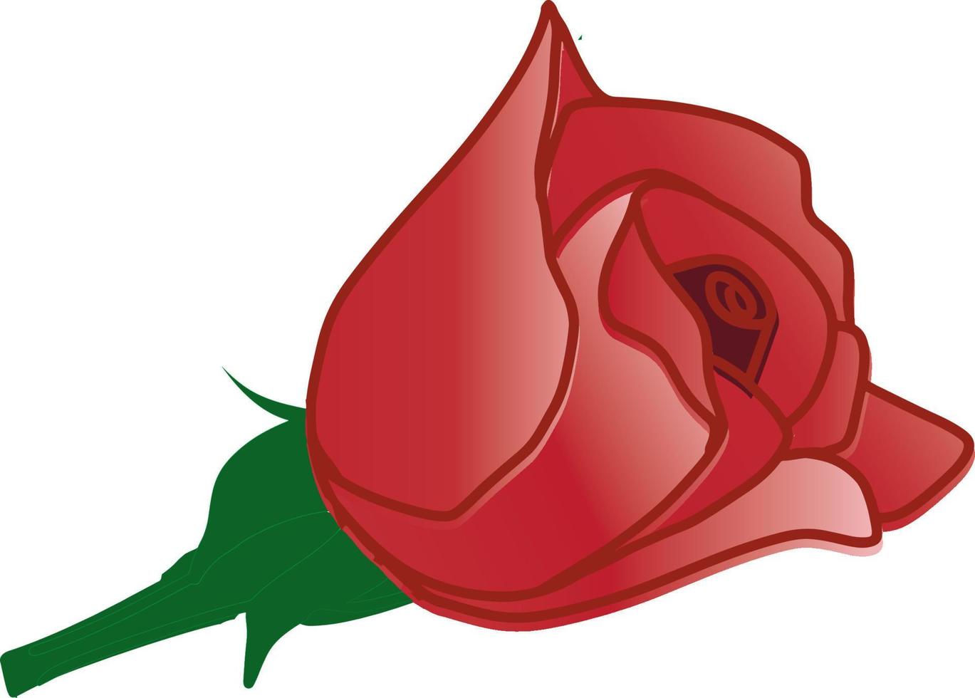 rosa floral botánico flores vector