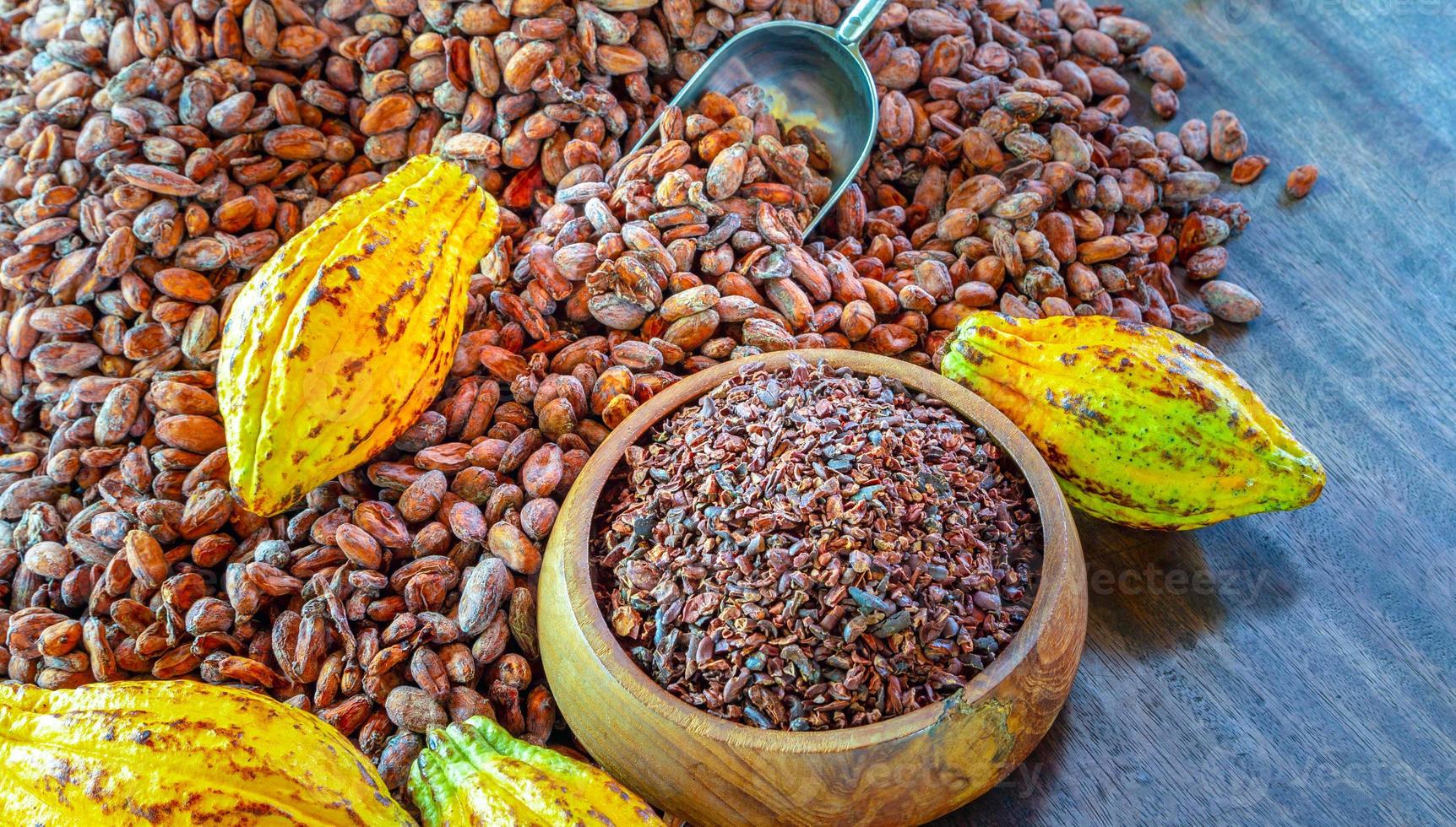 Cacao nibs are cocoa beans that have been cold-ground or ground at low temperatures to form tiny, bitter organic cocoa beans. photo