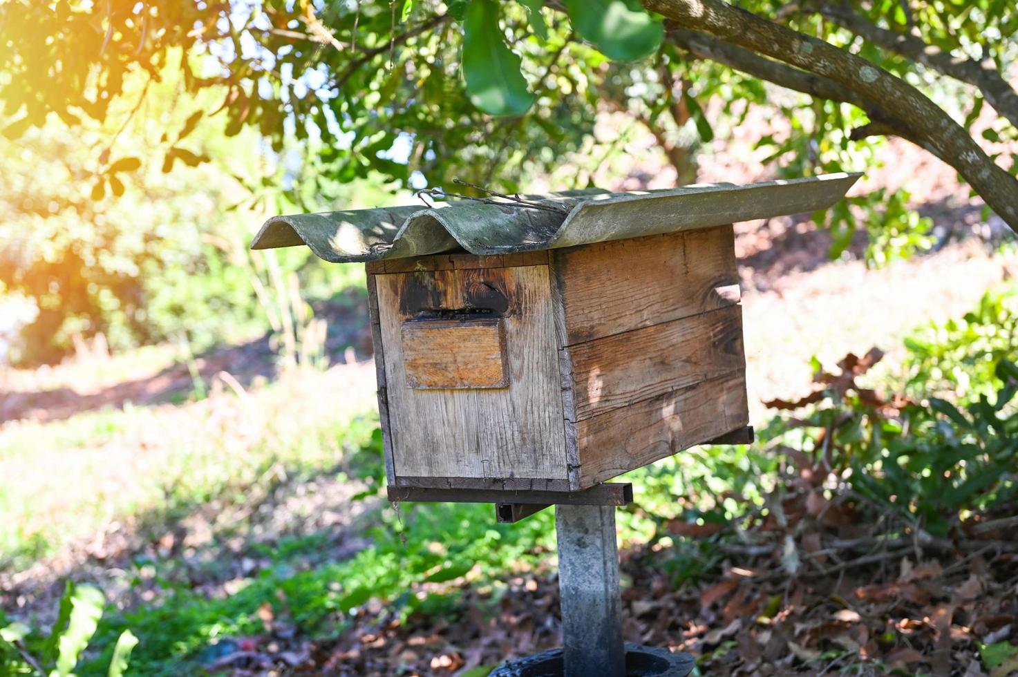 bee house beehive in the garden, wooden honeycomb in the tropical orchard under the tree photo