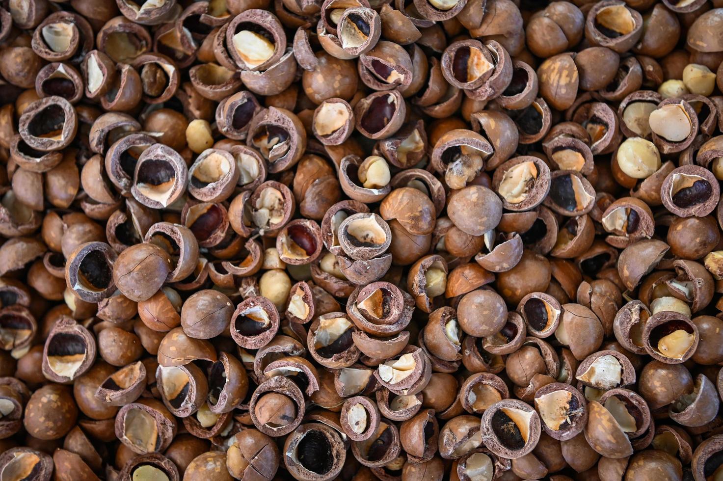 macadamia nuts texture background, fresh natural shelled raw macadamia nuts in a full frame, close up pile of roasted macadamia nut - top view photo