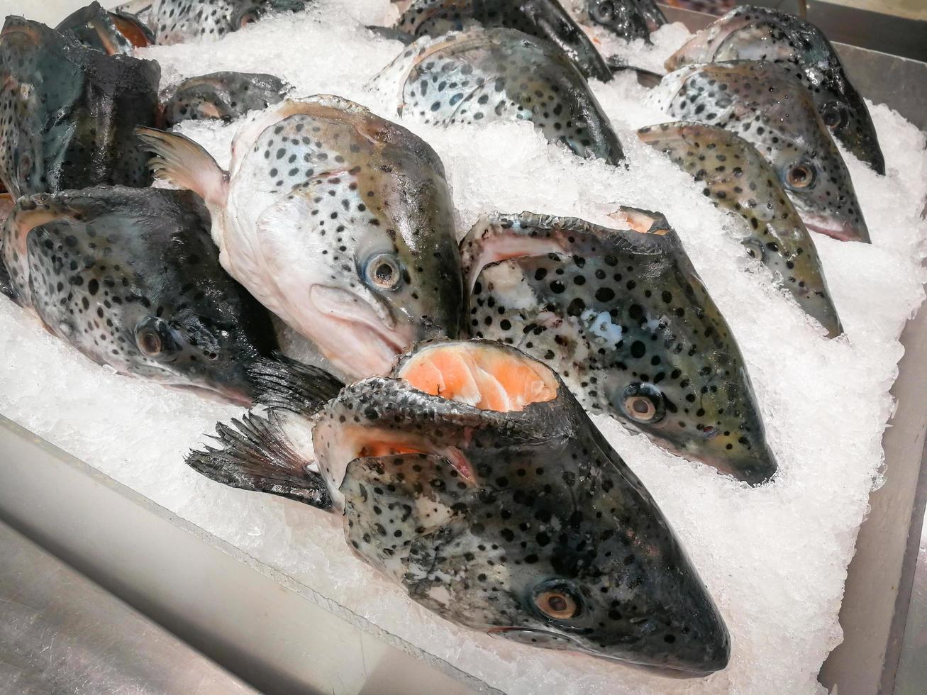 cabeza de salmón fresco sobre hielo en el mercado de pescado foto