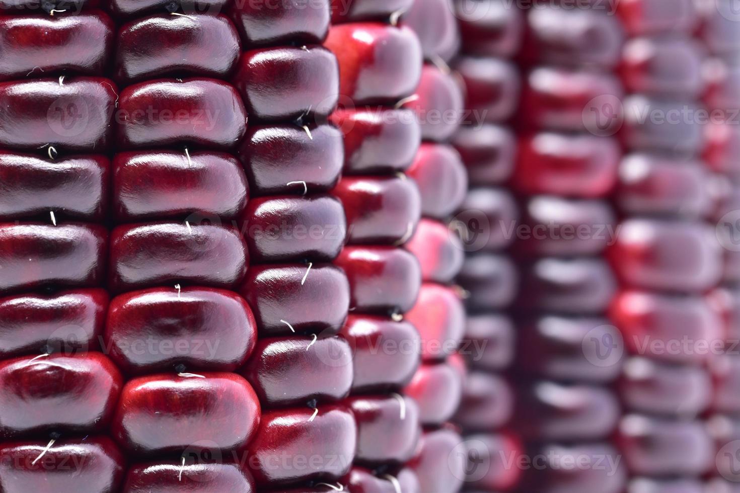 purple waxy corn with close up and macro view photo