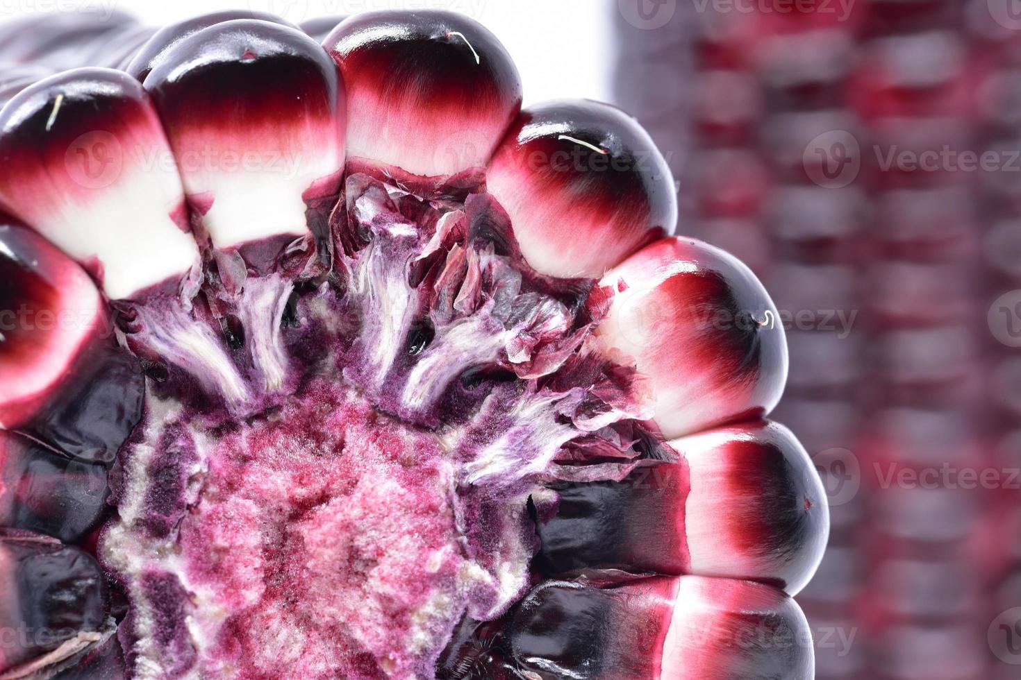 purple waxy corn with close up and macro view photo
