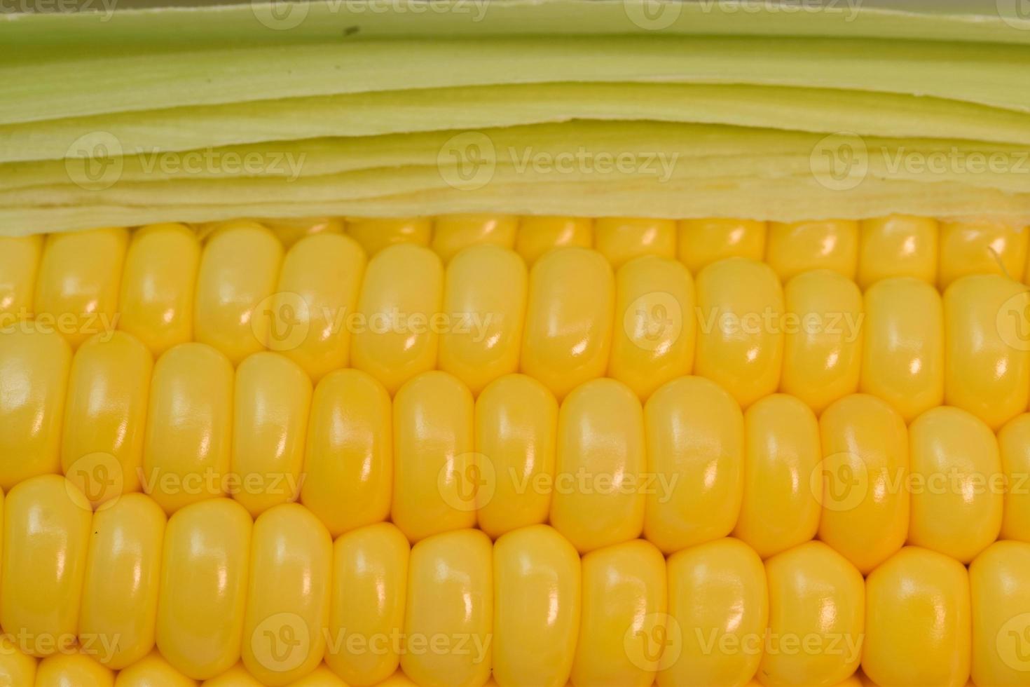 beautiful yellow sweet corn with macro and close up view photo