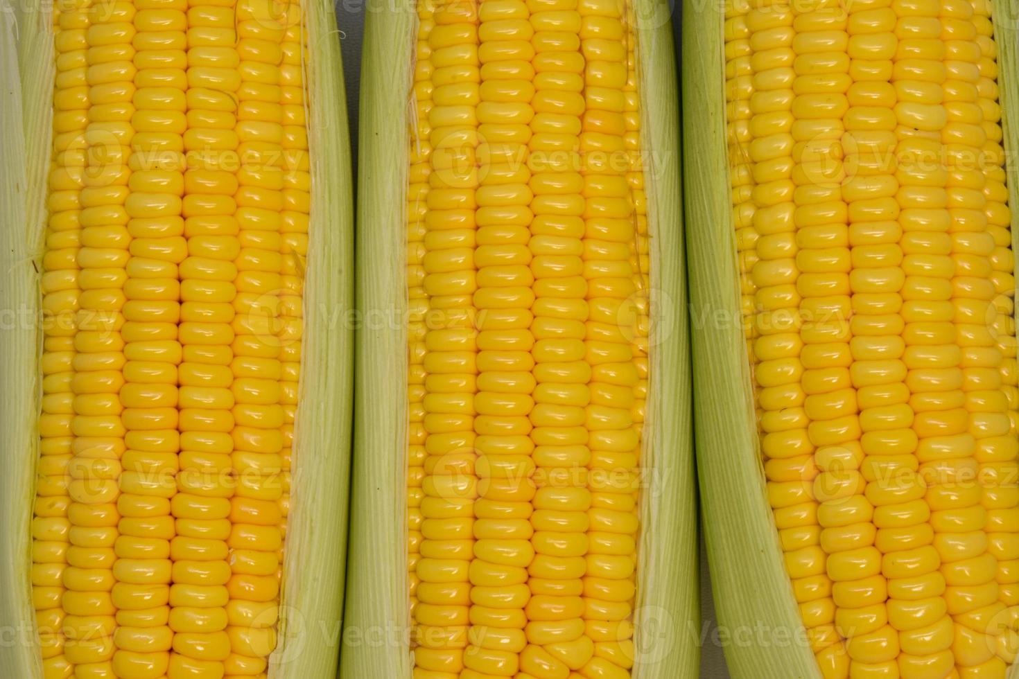 beautiful yellow sweet corn with macro and close up view photo