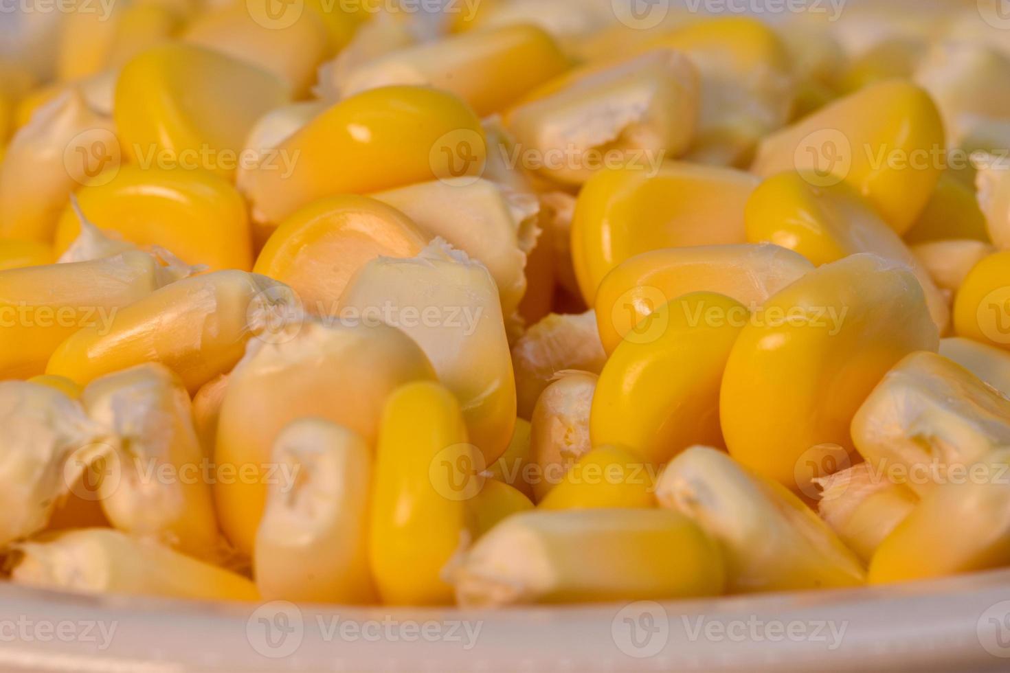 beautiful yellow sweet corn with macro and close up view photo