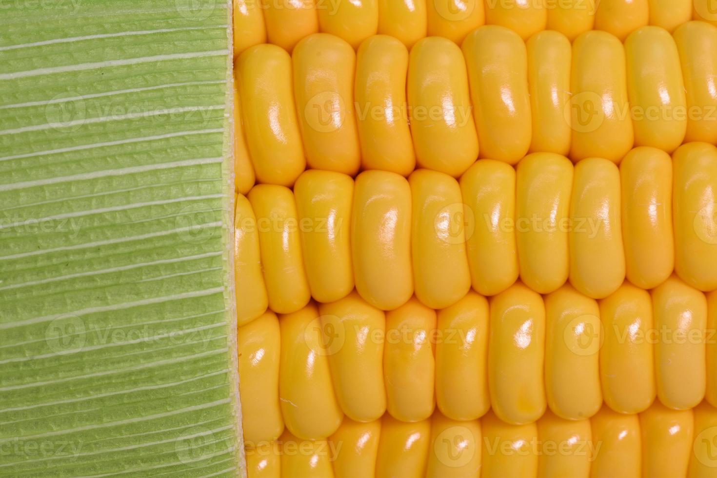 beautiful yellow sweet corn with macro and close up view photo