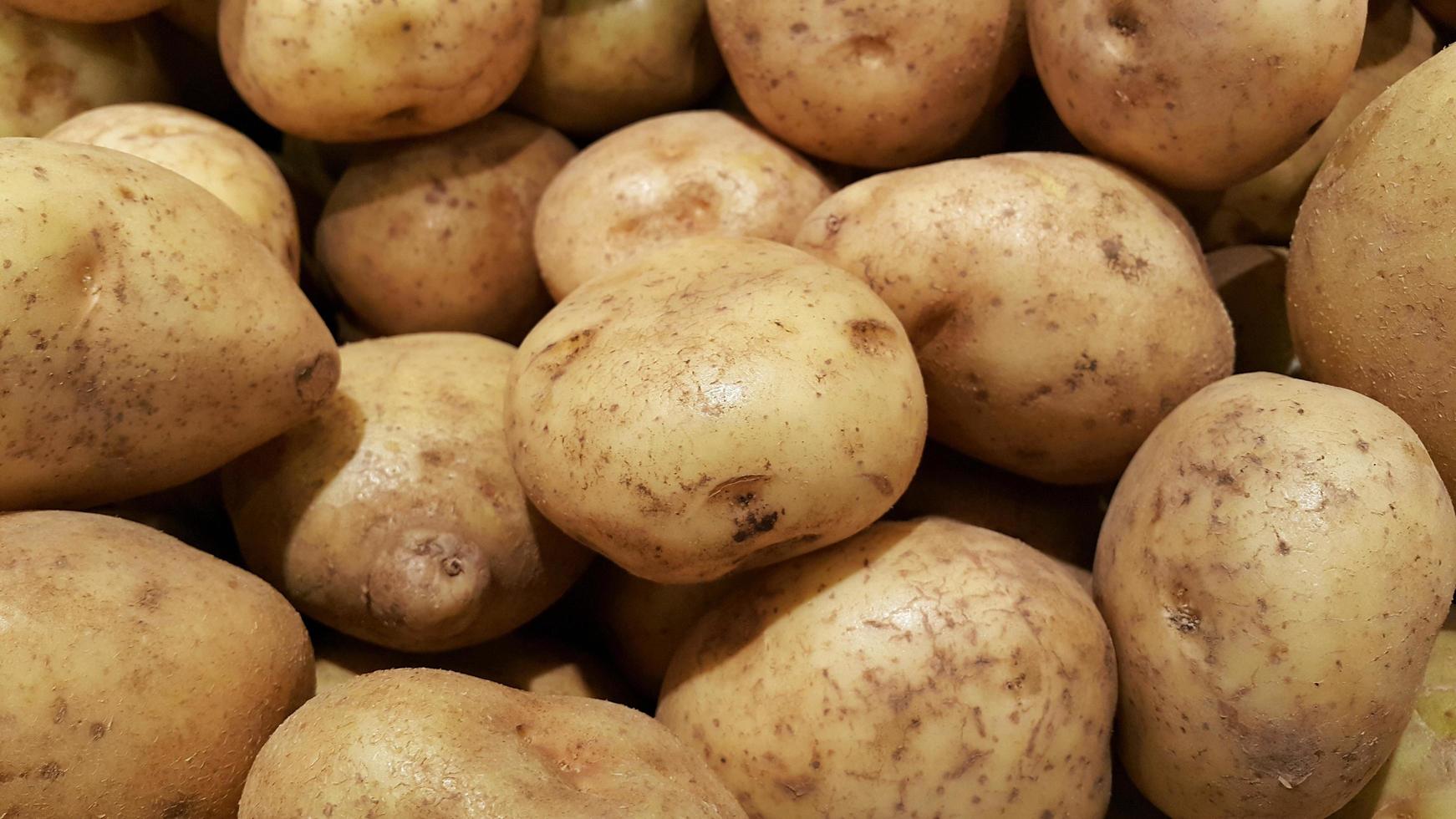 Pile of potatoes or Solanum tuberosum photo