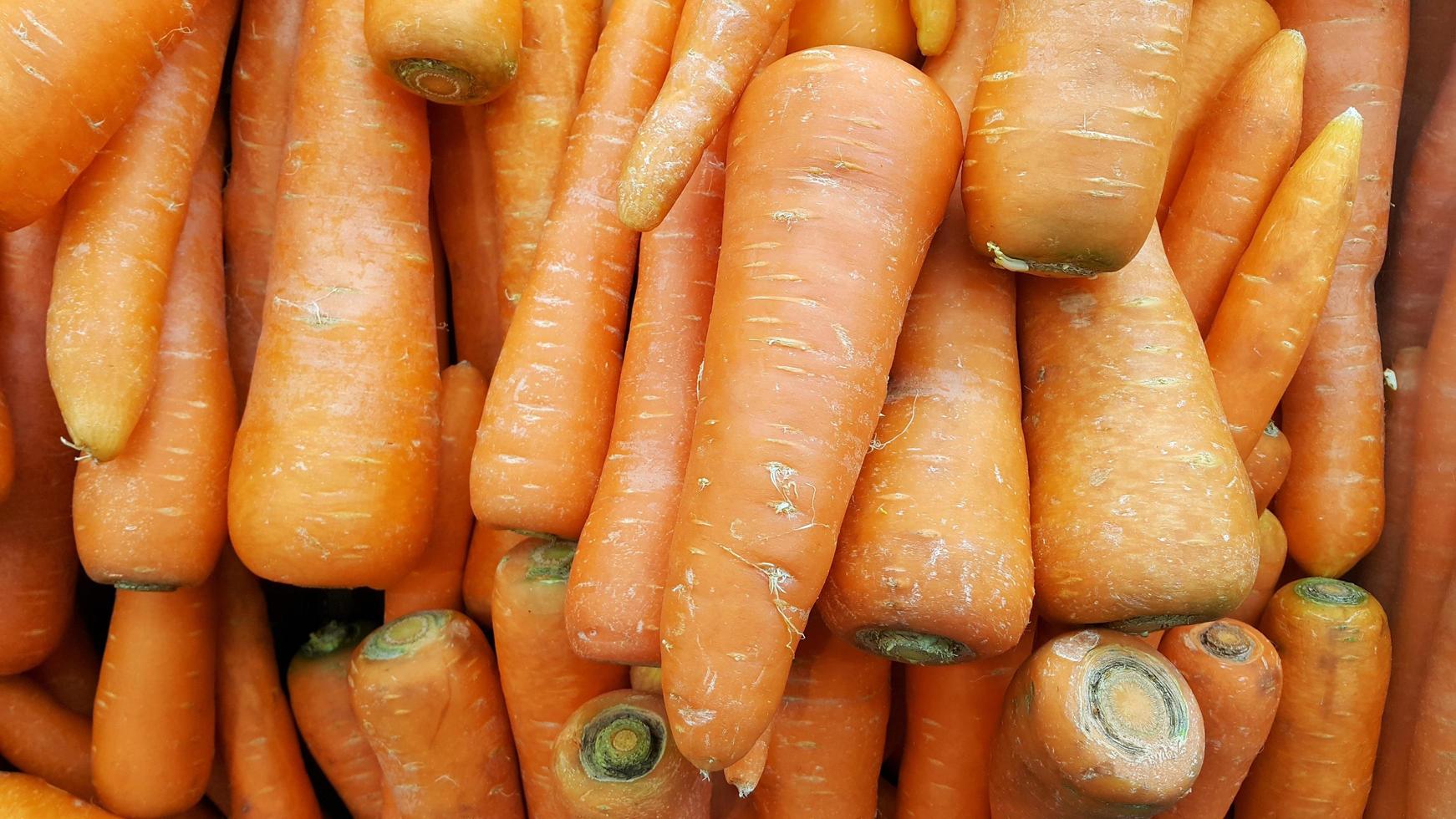 Pile of carrots or Daucus carota photo