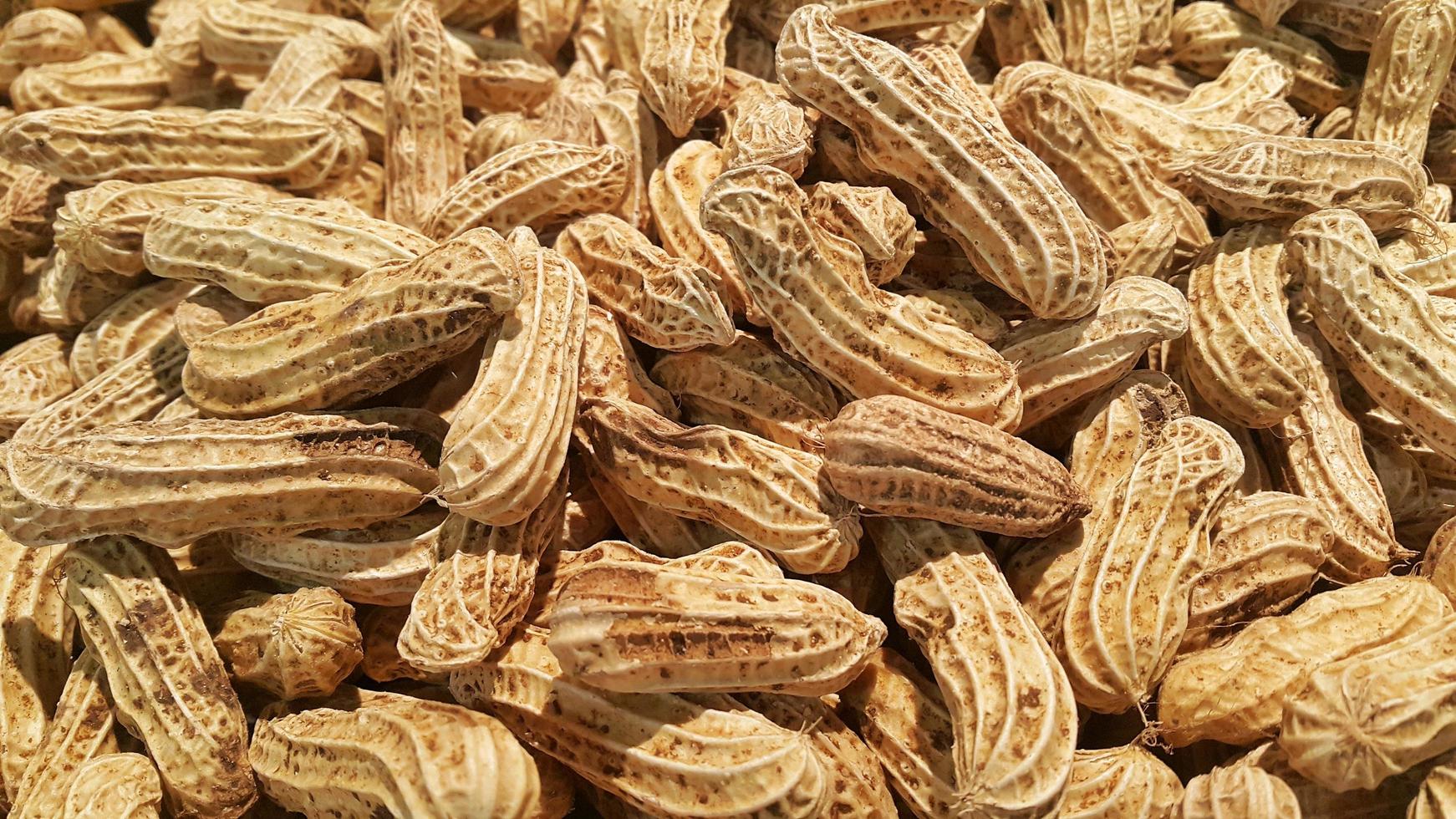 Pile of peanuts or groundnut or Arachis hypogaea L photo