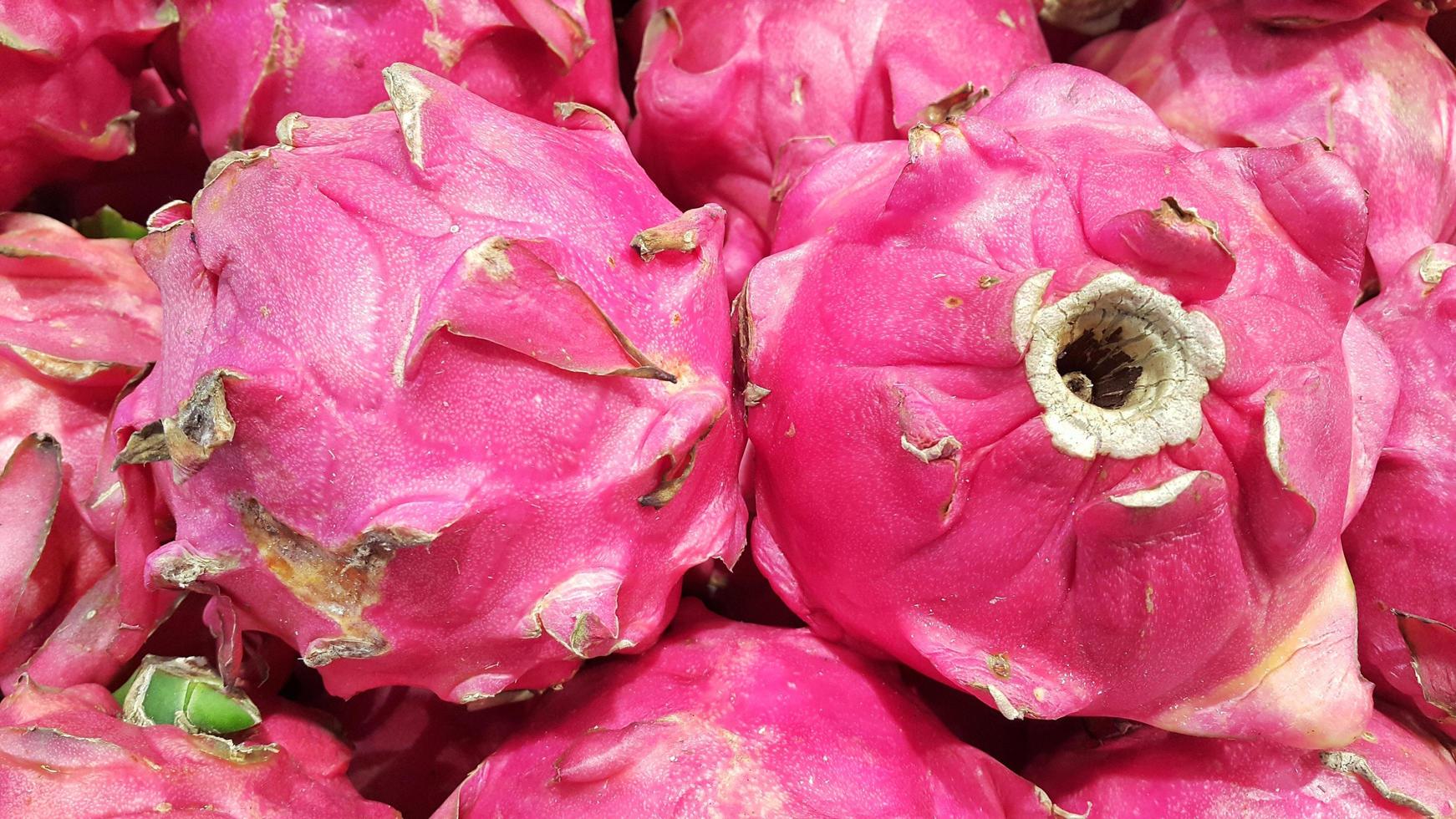 Pile of fresh dragon fruit photo